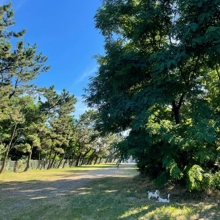 A64ba09b 71d2 469a b5d6 f29f55273183 1627946159028