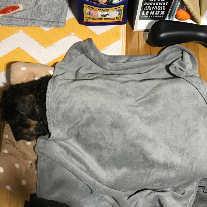 A64ba479 472a 4dce a963 a3c232b764a0 1510414006513