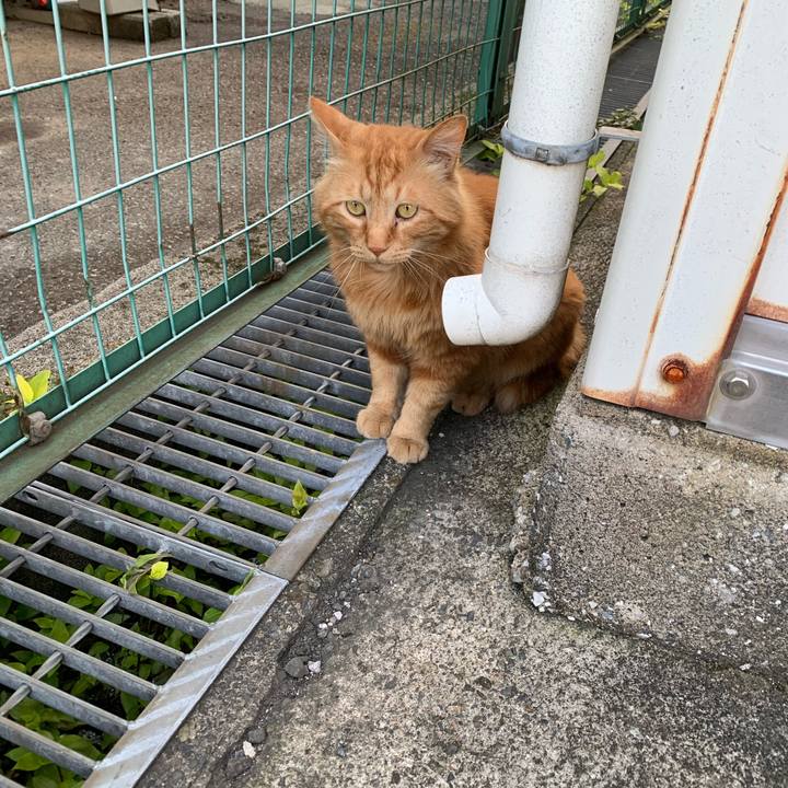 A64baf5d b268 4cc8 b27c 3efad36852aa 1654346124165