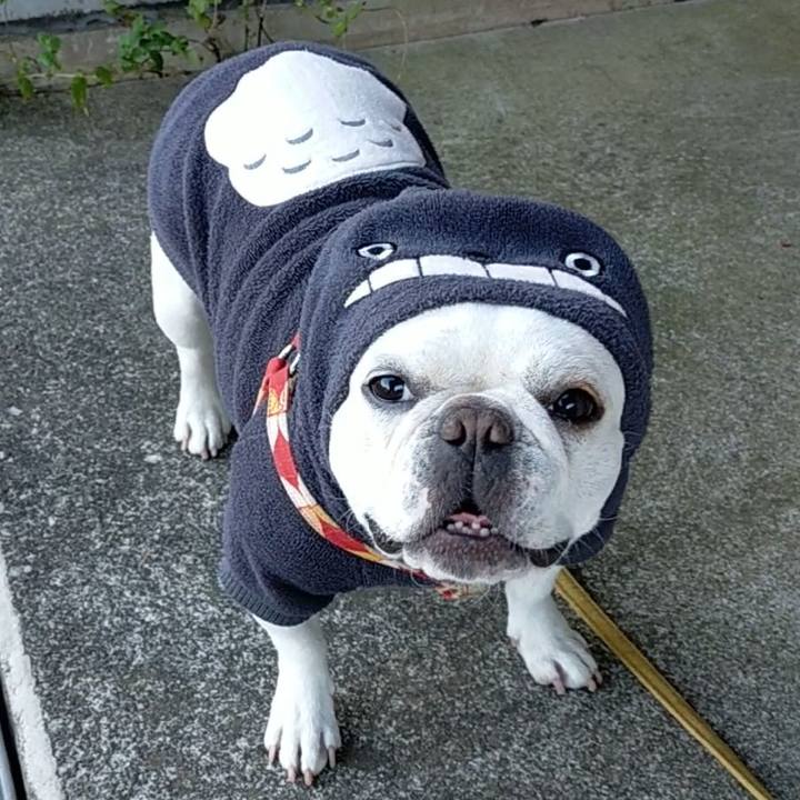 A64bb470 fd1c 45ce 9c1b 8305bb69a7bf 1667169378597