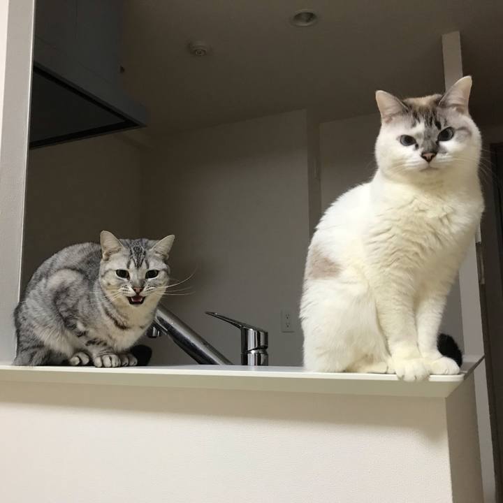 A64bcf28 d34e 4995 aa4c a19f5fd5d337 1552398068396