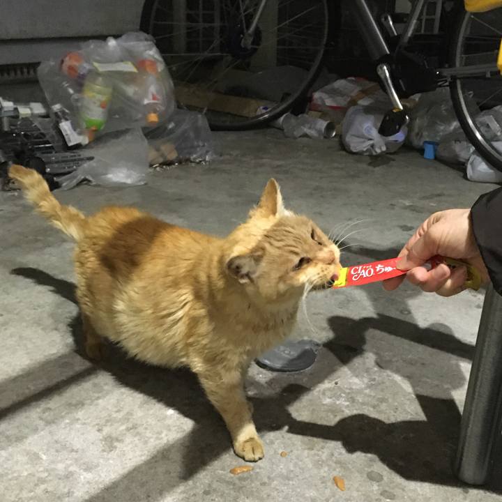 A64bdb2c c0bf 42e2 ac3e 6017a14d7299 1608685039476