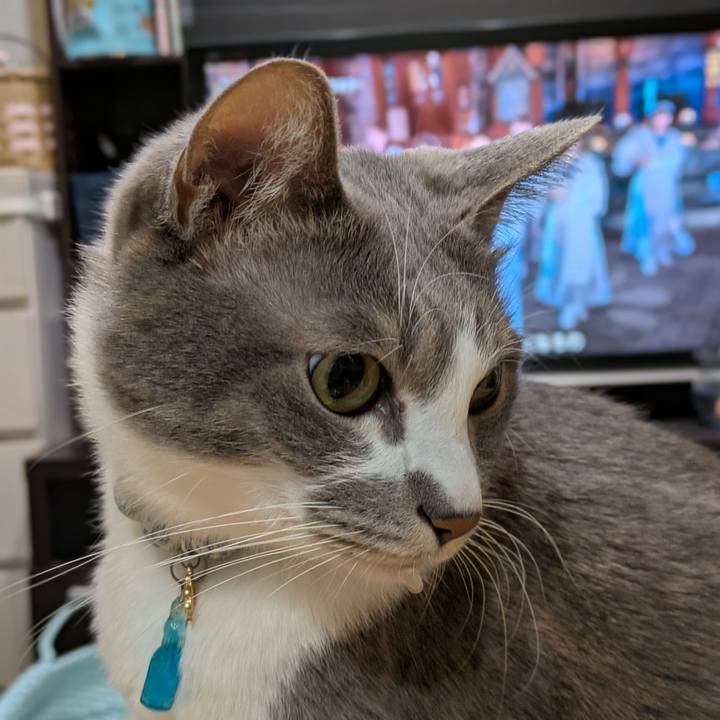 A64bf217 8575 4de2 9ba1 624ca6488ca9 1735646911037