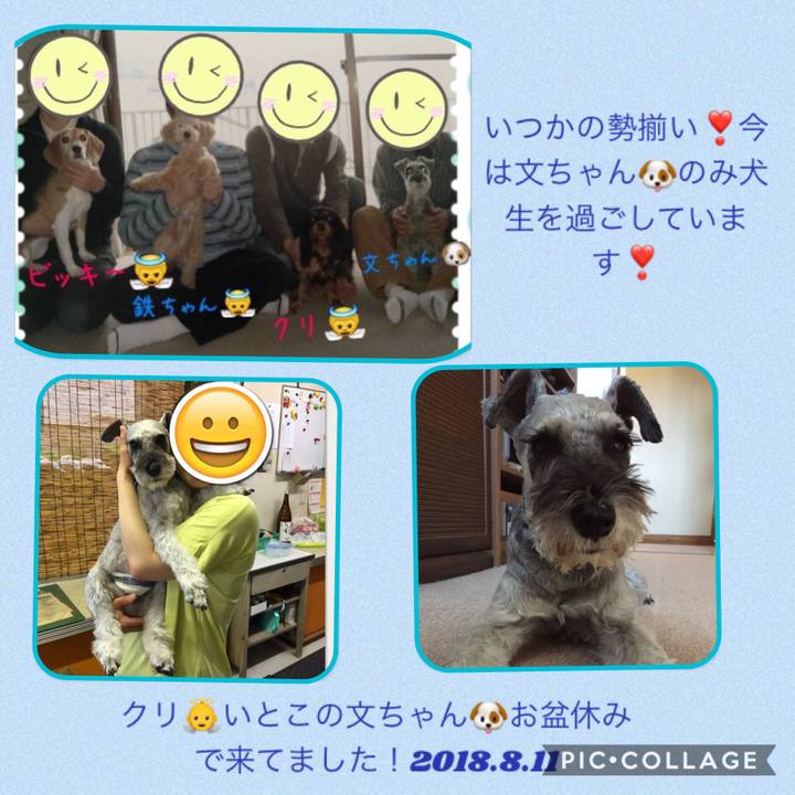 A64c09bc cf52 4e25 8159 c64498e2e632 1533980790096