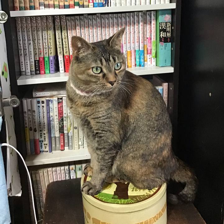 A64c3f7d c7b5 4ab8 b588 e8394d47f29e 1719650100248