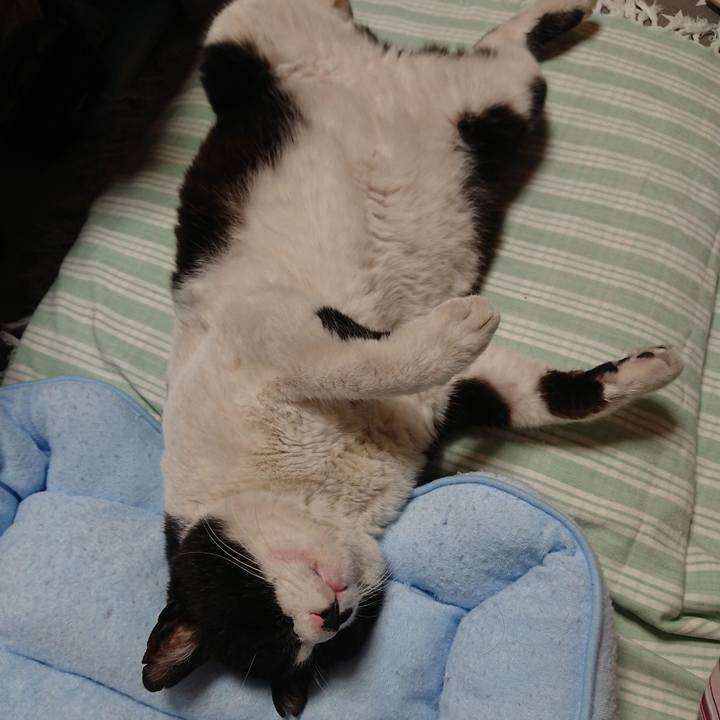 A64c40e9 ff4e 4c31 9f33 83872a1297b3 1559562278432