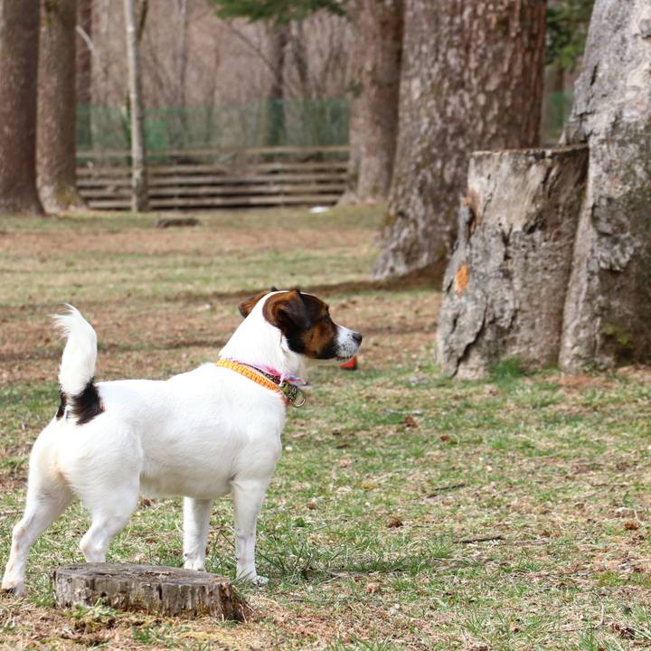 A64c54bb a19f 4360 afc6 489c5ab3aefa 1555286016223