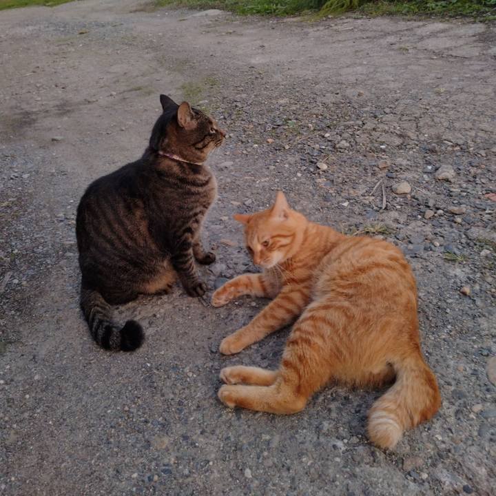 A64c9efd 611b 459b b778 ac996f0db315 1665835696217