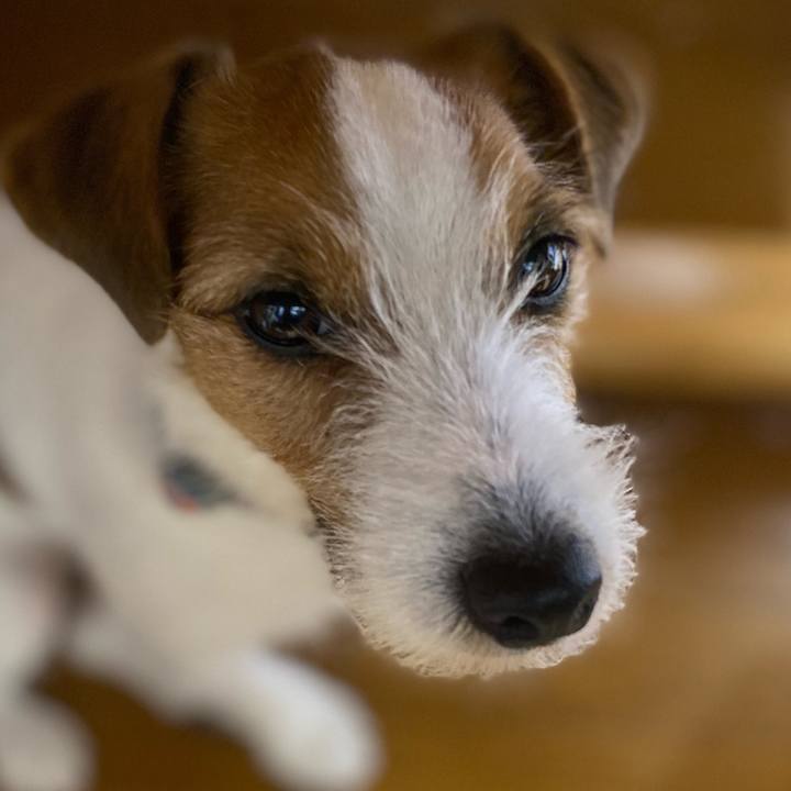 A64cd357 fe57 418b 94f9 aa9ccdc8a2bf 1766404093407