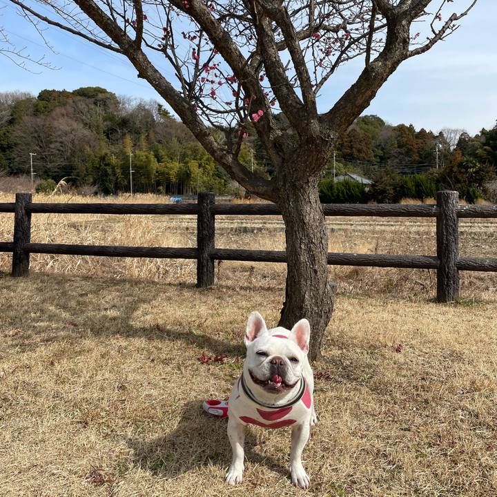 A64ce9af ee6c 4df1 8583 0a32d2c5478c 1739758225887