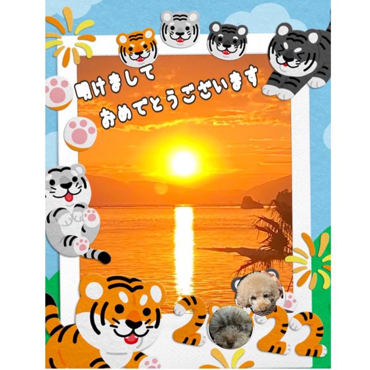 A64d2d54 30fb 42c3 a512 71b8610e489d 1640997161466