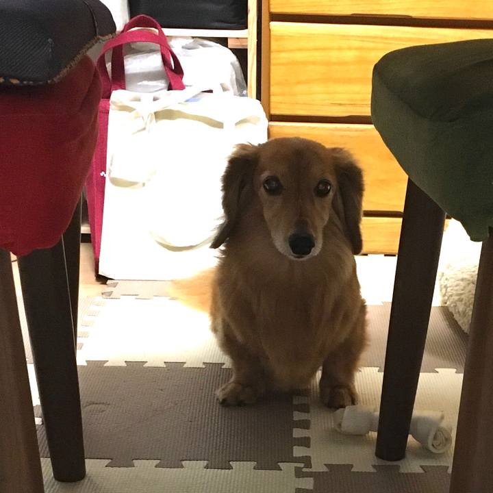 A64d3147 3127 46af b6da 90bc83fe4cd0 1604666307881