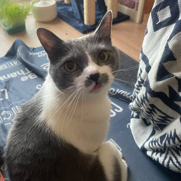 A64d3829 a63b 41f8 a486 26f372892fc7 1746049748097