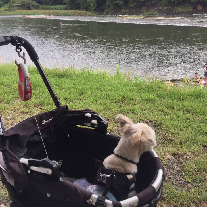 A64d5fdf be26 4940 a04f 18cda78bf439 1537690030242