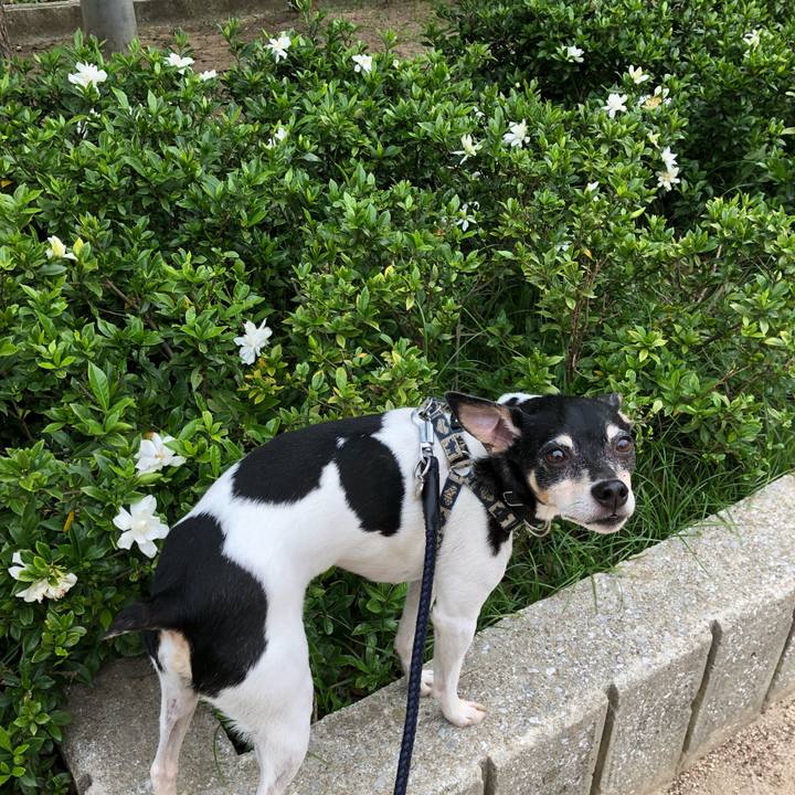 A64d7dc7 3f59 4dee a697 07a75ad7f978 1527593729921