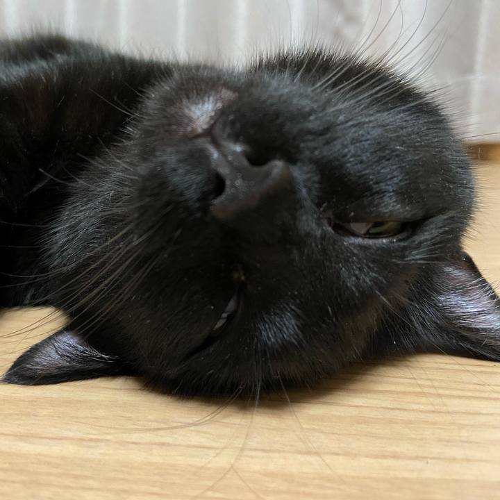 A64d7eb9 0fde 4efe 9a02 48c3ac87c17e 1626873182326