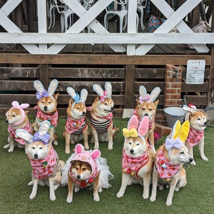 A64d844a 5e1d 422f b8a0 cf9900cf991f 1680964437425