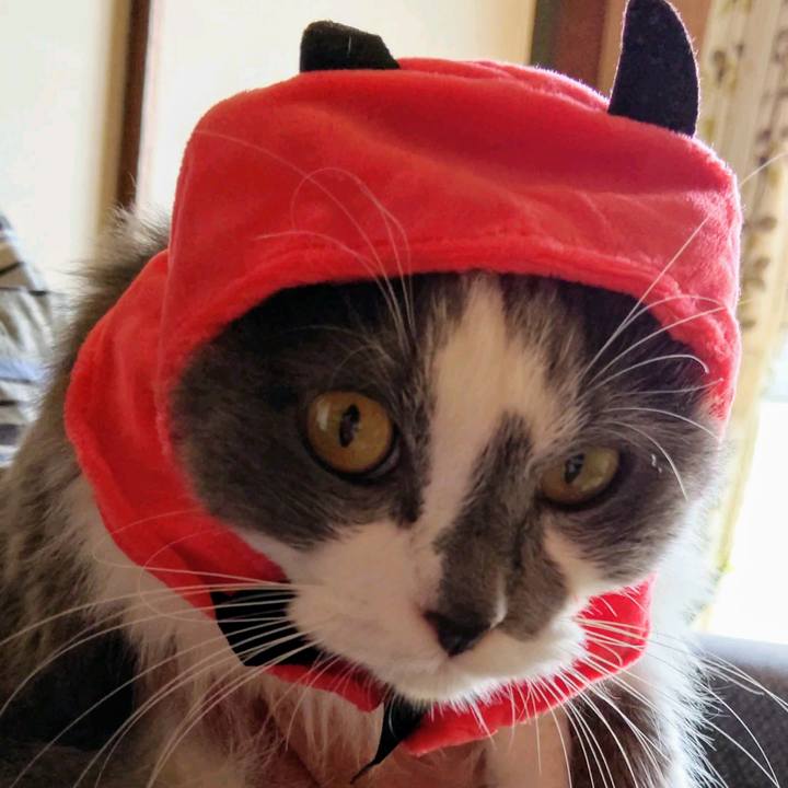 A64da331 fcf2 4be5 9121 415022564abf 1600490881618