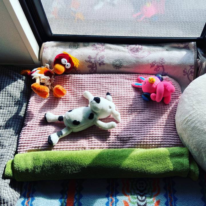 A64da881 d147 4a94 ac40 1647f83f9424 1643088219628