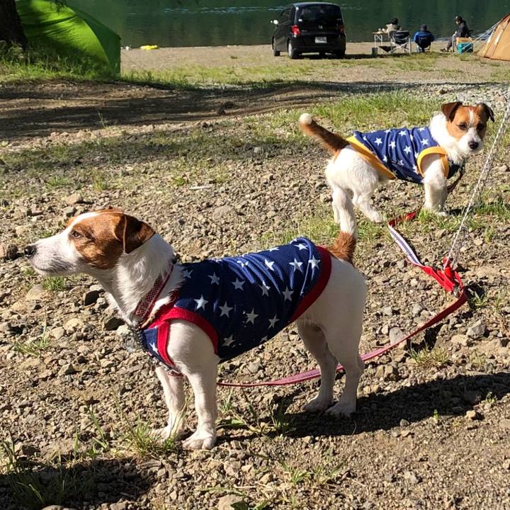 A64dd302 e443 4e37 8431 09770a42acdc 1526996316142