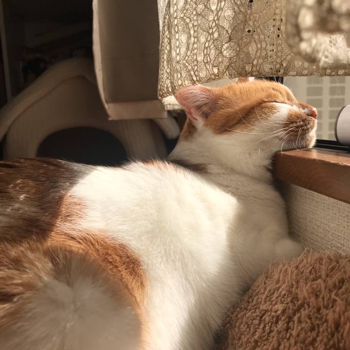 A64dd69f dc39 4496 bc98 88fb68d3bb3b 1582518702100