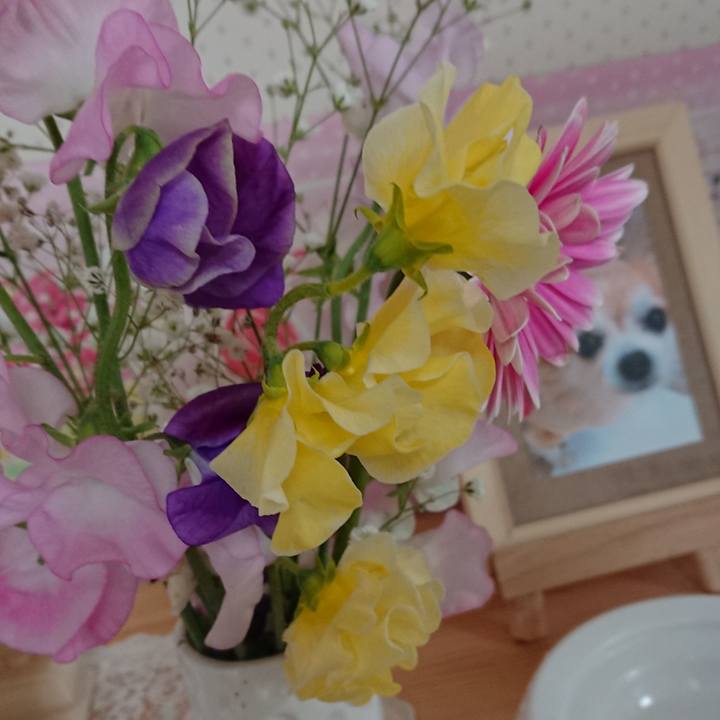 A64ddf00 a6a3 4eac 8a4b 53500278ad6a 1549715485078