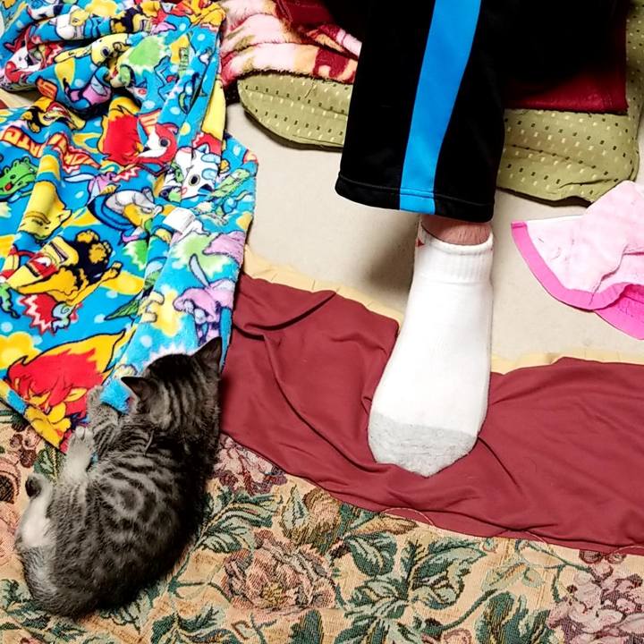 A64df67c 8dce 407b 8008 0e048d7cd324 1661425279181