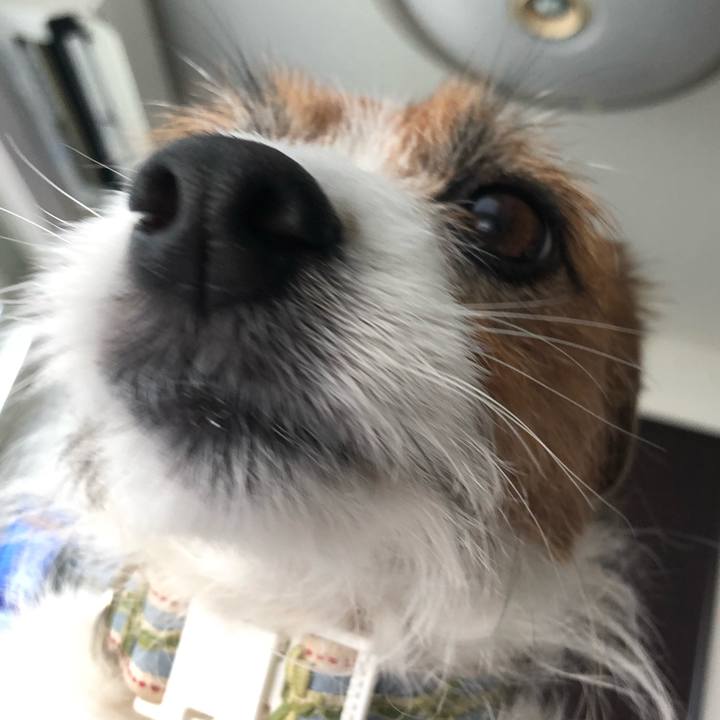 A64dfd62 fe67 4b30 933b 64bc6c8f3cd9 1586567170525