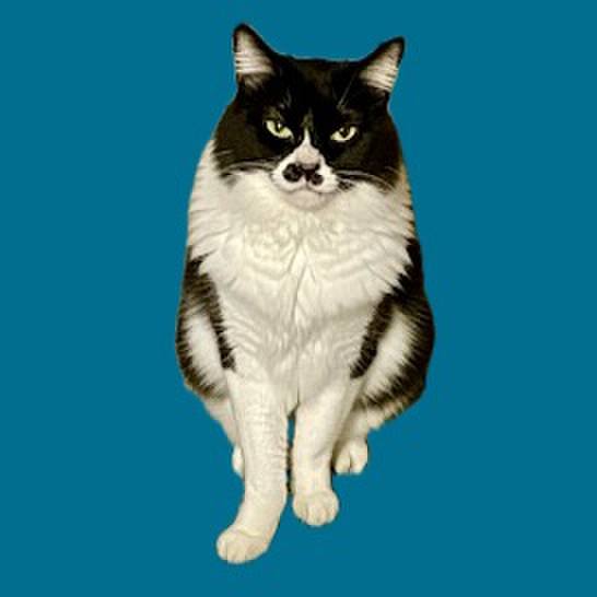 A64e1bb0 1861 451f 8aec b7d61bd8d725 1756635550042