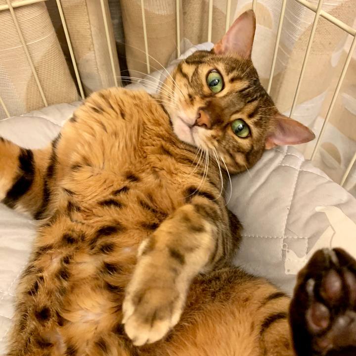 A64e3cfe bbe7 4966 8c20 047d10603148 1566252804033