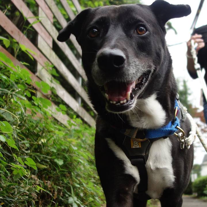 A64e4176 e9a6 4aba 8cd4 dc50cad91ec3 1665790997498