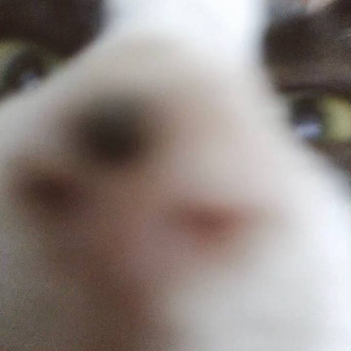 A64e4f5b 5866 475c a2df 6ebe3ac030ed 1625275063224