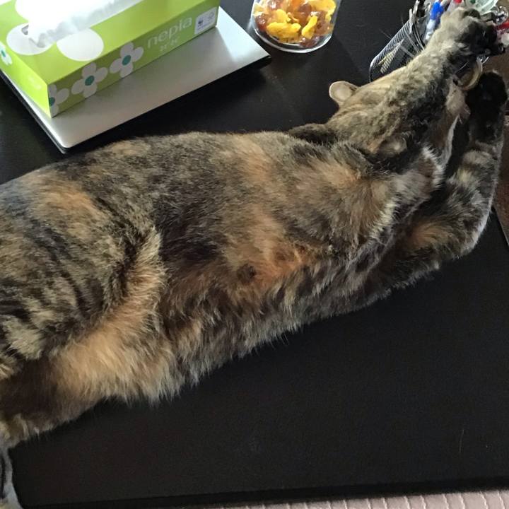 A64e5024 575a 4fc1 a9d9 9377223e77f7 1704417226483