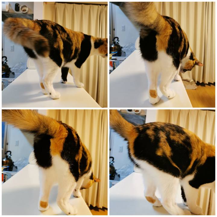 A64e6a8e 19bc 42c6 b368 71aa76674a5a 1655641619394