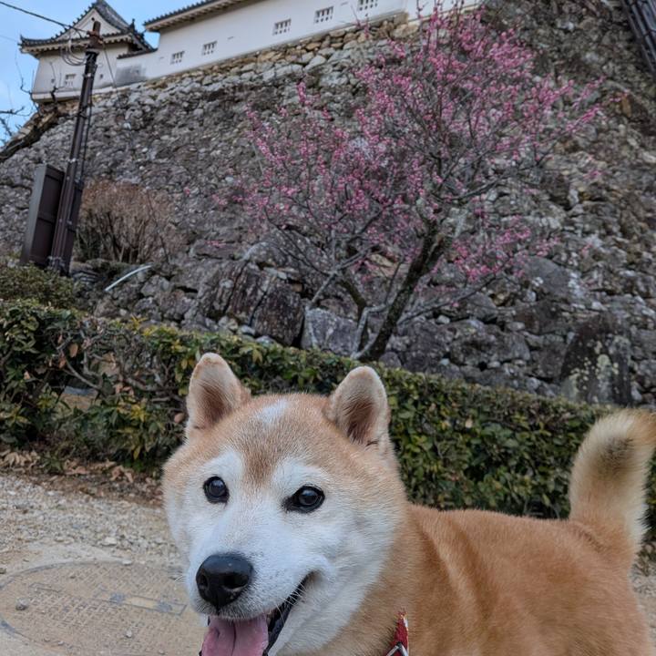 A64e848e 26fe 405f ad96 790c5e3bfc3e 1770382533915