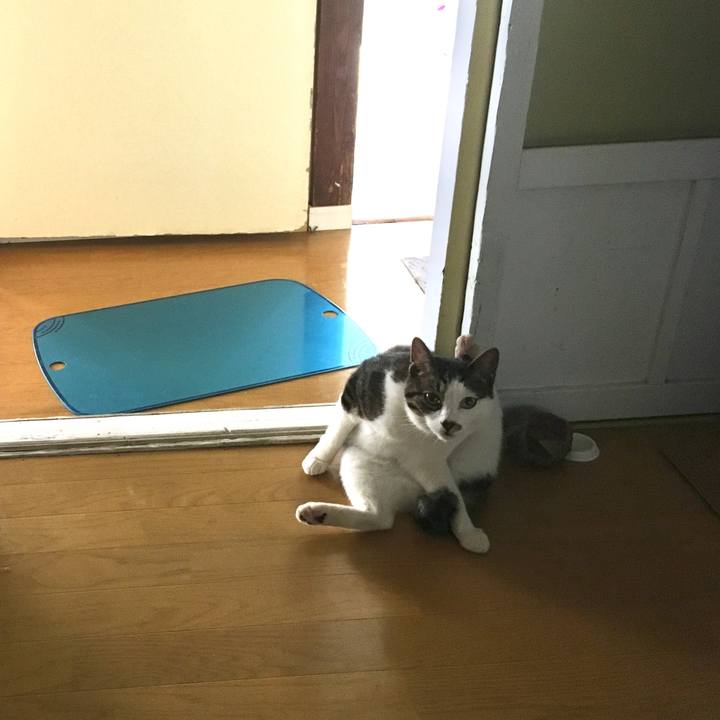 A64ec909 5684 4fb4 9eb1 2fe26e8a6b98 1531437766205