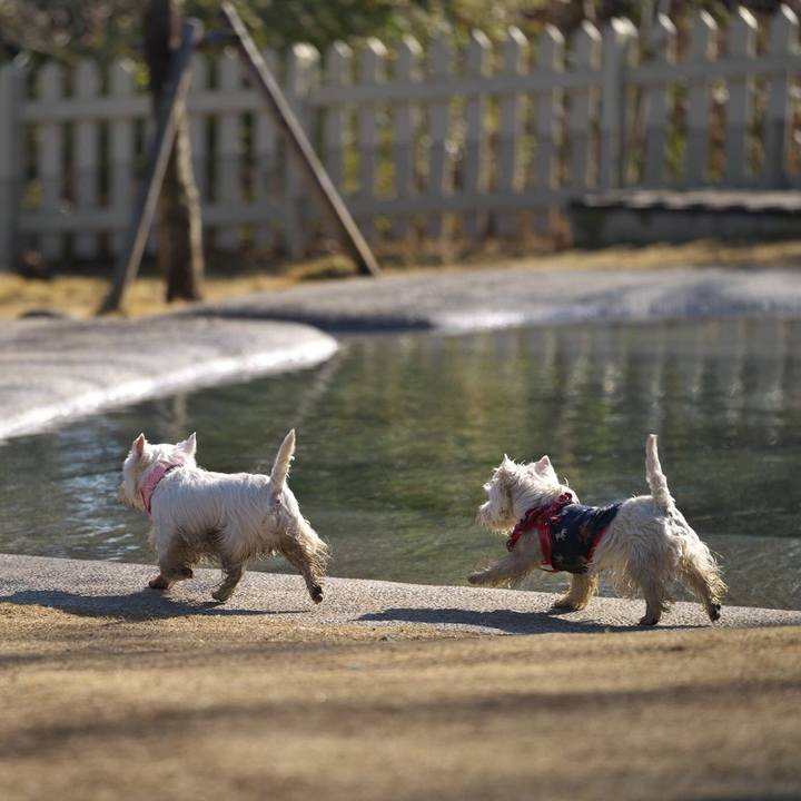 A64eecdb b462 45d2 a3e5 6f3648e76363 1515329654613