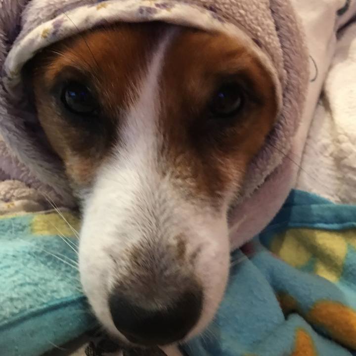 A64efd7f 3219 4535 a159 1da0a2a00dc8 1509277226819