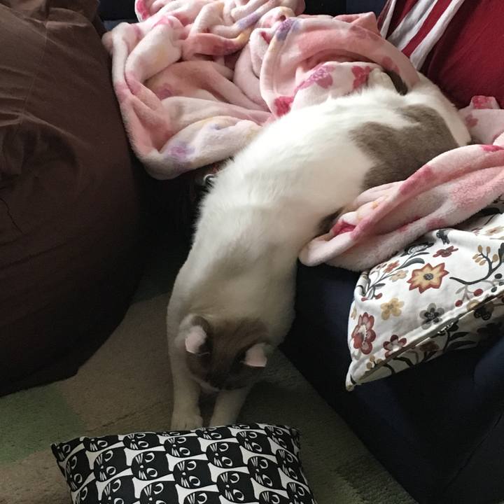 A64f3515 ad1e 45fc 9179 333810d8b11b 1546223169827