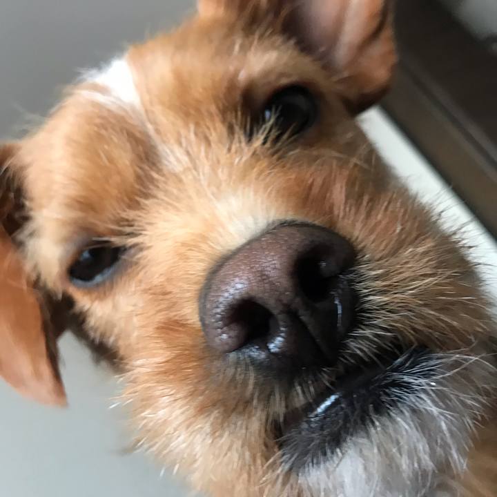 A64f56f9 fbc6 4b1e 9045 b11310f09c10 1557568391225