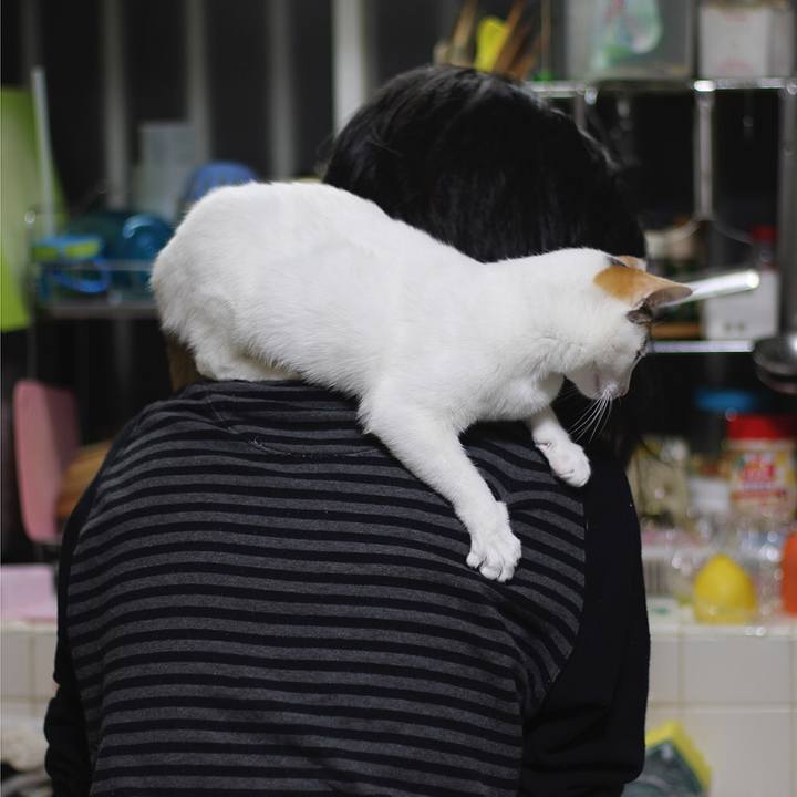 A64f9129 a522 4c70 aac2 b38ad0fb6c6b 1561721593832