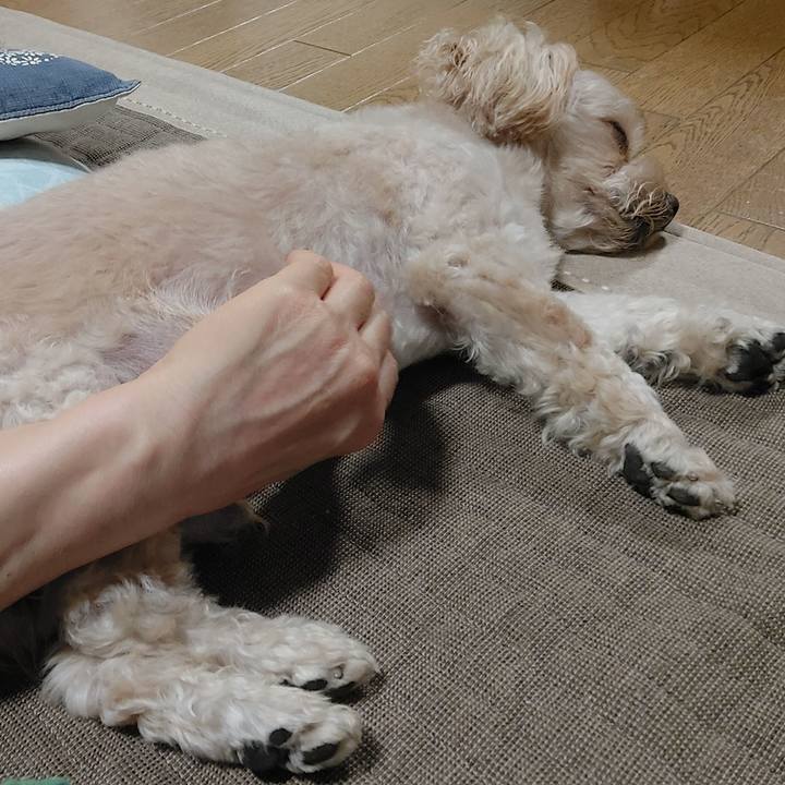 A64fa67f 1747 4556 839a 64e75ac51c6d 1631361496181