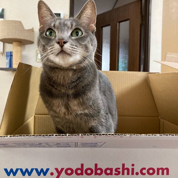 A64fa7b9 5a35 4606 88e3 20779c258957 1633744703599