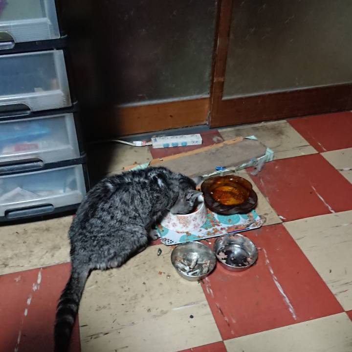 A64fa865 1ef6 429e ac17 f761ef69cfd4 1579467235736