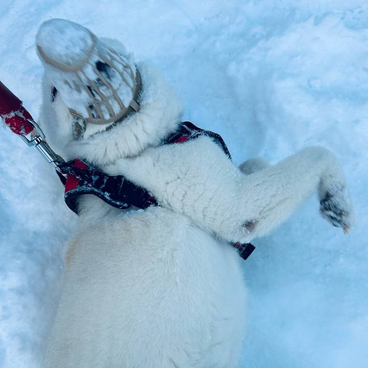 A64fc4ec a9eb 4e33 920c acc85a105347 1705789859450