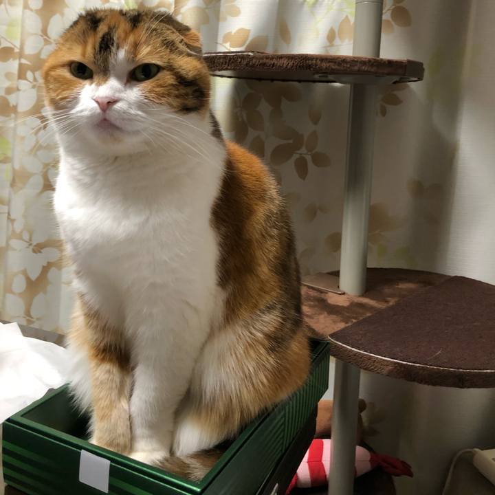 A64fcb6f 1a74 427f 83a4 0e88d11dbefc 1608375175793