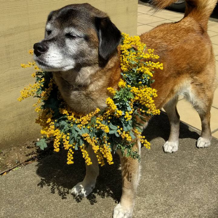 A64fd4ab 05c7 4349 b206 b59dff3d879f 1522468419292