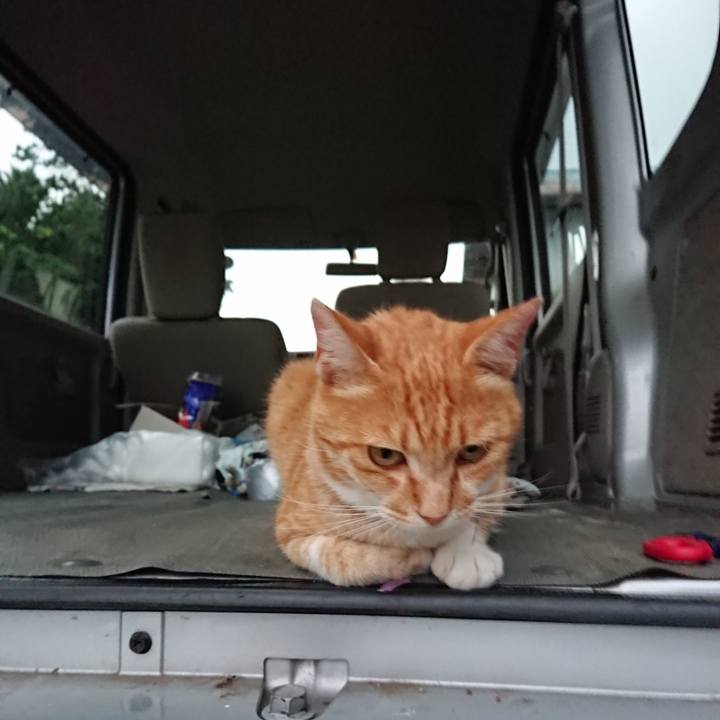 A64fe92d cbbe 45ee 98e4 58b92941460f 1595325094203