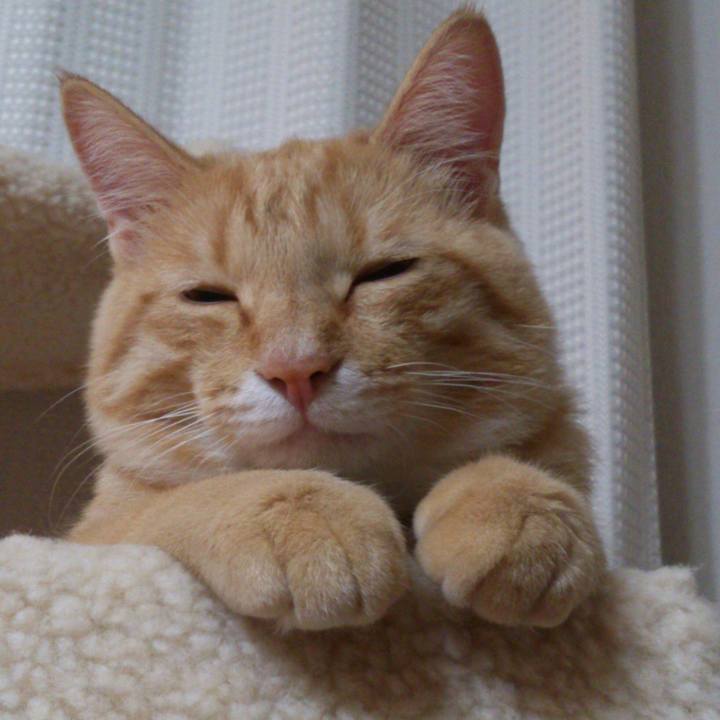 A6500786 4070 455e a2b3 ae5005f77e61 1539873467444