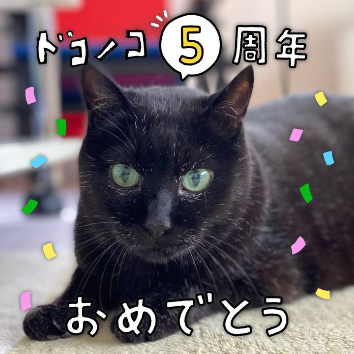 A6501f25 3071 47b2 86f3 4e9a08493bde 1623020193258